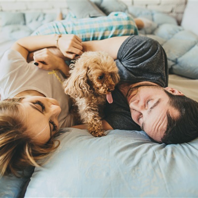 Pet-Friendly Apartments